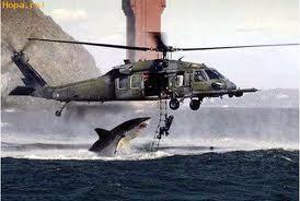 Haioase si sexi - images-2.jpg